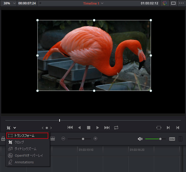 DaVinci Resolve：トランスフォームツールを選択。