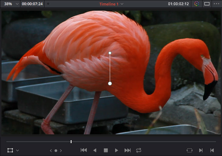 DaVinci Resolve：トランスフォームで拡大した動画。