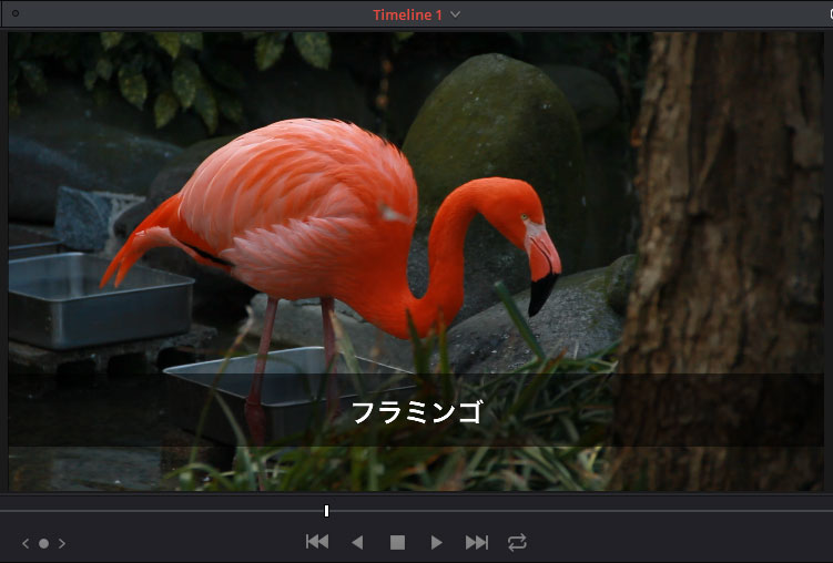 DaVinci Resolve：テキスト調整しました。